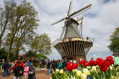 Dutch Design – Made in Germany!! The best of two Worlds.